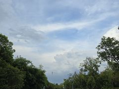 -游心咖啡(青山滨江店)