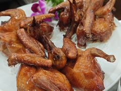 -鸽鸟轩(石岐店)