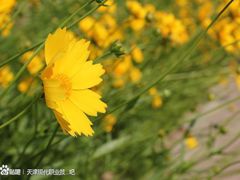 -天津现代职业技术学院