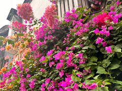 -聚春园驿馆(三坊七巷店)