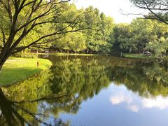 -上海共青森林公园