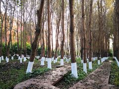 -长春市十一高中