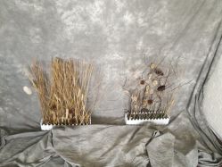 点击看大图 -哈尼Honey baby 儿童摄影(立丰国际公寓店)