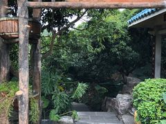 -大屏嶂森林公园