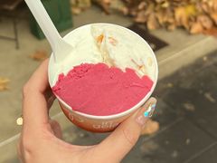 -Dip in Gelato(富民路店)