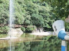 -龙湾潭国家森林公园