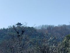 -北京鹫峰国家森林公园