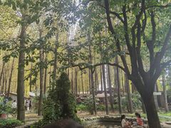 -林间山庄