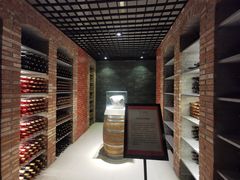 “陨石葡萄酒酒窖”-丹世红酒庄·烧烤·团建·婚礼·水上运动