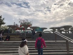 -武汉园博园(武汉自然博物馆)