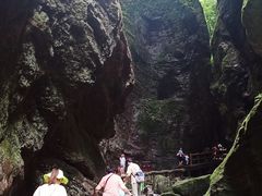 -牛背梁国家森林公园