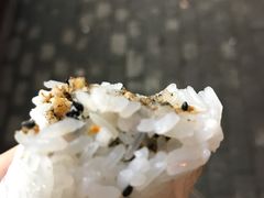 -徐氏糯米包油条(三眼桥分店)