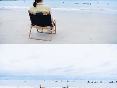 -西涌国际滨海旅游区