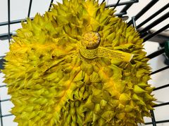 -五缘湾悦都汇购物中心