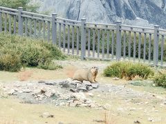 -墨石公园景区