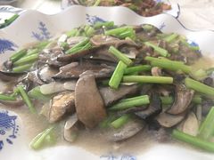 -野菌王牦牛肉汤锅