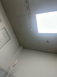 -温州伯思立医院