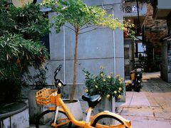-荔湾湖公园