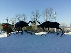 -中旅松花湖滑雪场