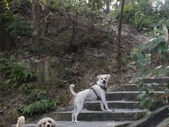 -火炉山森林公园