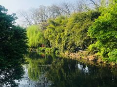 -西湖外事游船(花港观鱼码头)