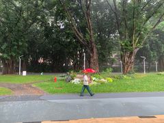 -人民公园(罗湖区)