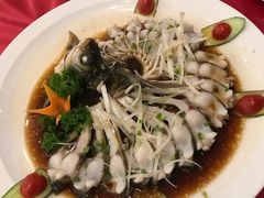 -田园小观园(武大店)