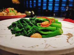-钟菜·粤菜点心·宴请(海上世界·汇港二期店)