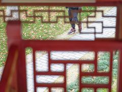-堤角公园