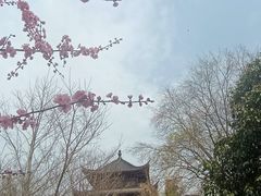 -堤角公园