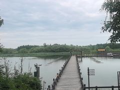 -溱湖国家湿地公园