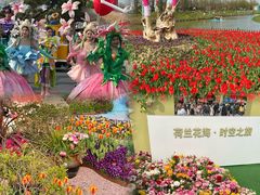 -荷兰花海
