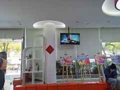 -小荧星艺校(浦东中环分校)