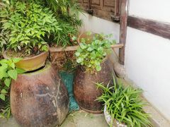 -阮氏酒家(柯桥店)