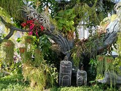 -国家植物园南园