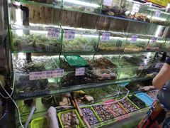 水产区-覃记海鲜美食餐厅