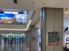 -红星美凯龙(上海沪南店)