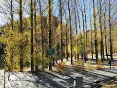 -百里山水画廊乌龙峡谷