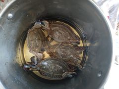 -岳各庄批发市场(西四环中路店)