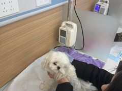 -达爱动物医院·犬猫分区·CT·复杂眼科(远洋山水分院)