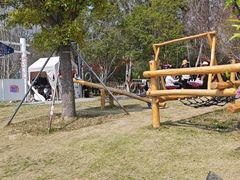 -金鸡湖桃花岛