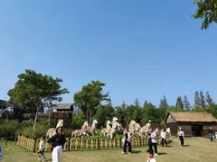 -上海长兴岛郊野公园