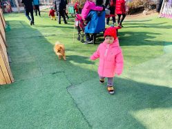 -萌宠亲子动物乐园(槐房万达店)