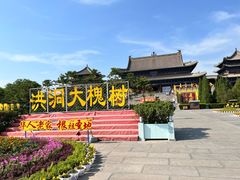 -大槐树寻根祭祖园