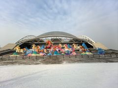 -沈阳奥体冰雪嘉年华