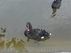-静之湖度假区