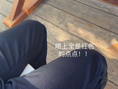 -窗外西餐厅(普罗理想国店)