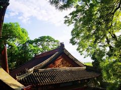 -新川面馆(新街口起源店)
