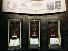 -辽宁古生物博物馆