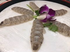 -草鱼先生潮州鱼生·虾生(新厦花园店)